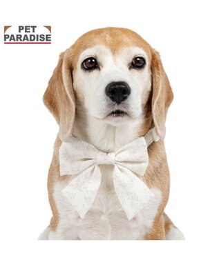 PET PARADISE ペットパラダイス 花柄りぼん 首輪 ＳＭ 中型犬