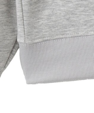 WEGO 【ユニセックス着用ITEM】CONVERSEバックサガラプルオーバー ライトグレー