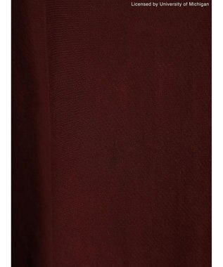 AMERICAN HOLIC Ｍｉｃｈｉｇａｎ　Ｕｎｉｖｅｒｓｉｔｙ　スウェット Bordeaux