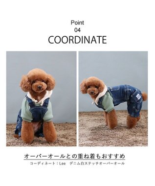 PET PARADISE Ｌｅｅ サガラ刺繍 パーカー  《グリーン》 小型犬 グリーン