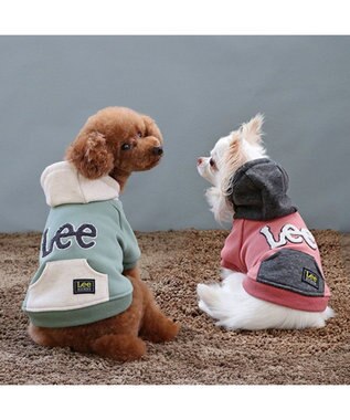 PET PARADISE Ｌｅｅ サガラ刺繍 パーカー  《グリーン》 小型犬 グリーン