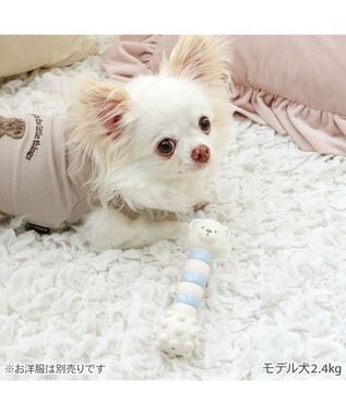 PET PARADISE ペットパラダイス くまちゃん ラテックス トイ 《ホワイト》 ホワイト