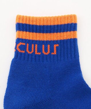 PW CIRCULUS 【虫よけ加工】【MEN】ラインソックス ショート丈  ゴルフ スカイブルー系