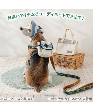 PET PARADISE ペットパラダイス リュックハーネス 《アーガイル柄》 Ｍ ホワイト