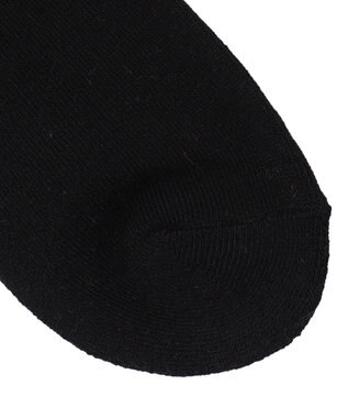 WEGO モチーフロゴ刺繍アンクルパイルソックス 柄2