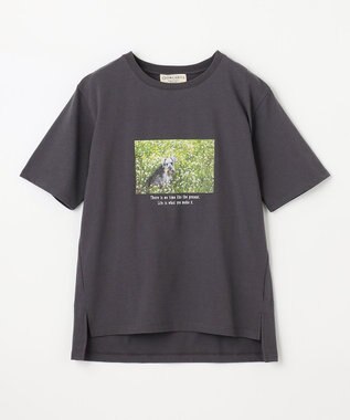 ANY L 【接触冷感】アソートプリントＴシャツ チャコール