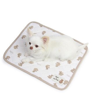 PET PARADISE ペットパラダイス   クール マット《くまちゃん 水玉》48×40㎝ くまちゃん 水玉