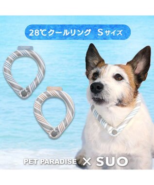 PET PARADISE クールリング 犬 クールネック ひんやり 28℃クールリング 【Ｓ】 リフレクター 水色 ベージュ  反射材付き