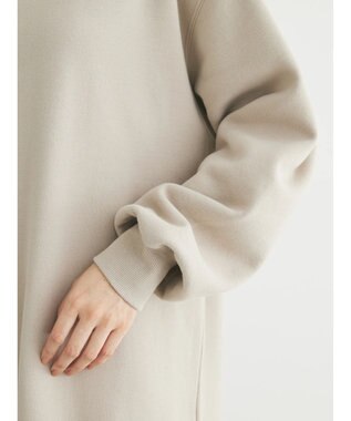 Green Parks Ｂｒｕｓｈｅｄ　裏起毛ワンピース Gray Beige