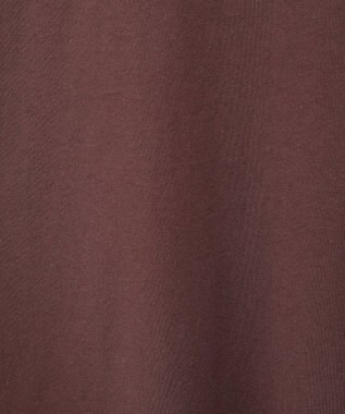 Green Parks ｍｉｆｆｙ／フロントロゴ刺しゅうＴシャツ Brown