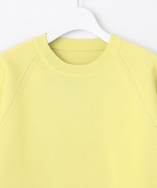 自由区 S 【Premium Collection】ウールポリエステルミラノ ニット ライトグリーン系