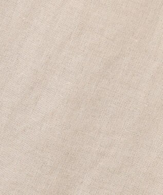 BEIGE， BURDOCK / Iラインスカート Flax