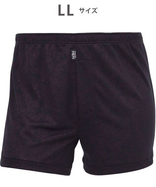 WACOAL MEN トランクス【らく窓パンツ】ボタン開閉の手間なし 中が見えにくい設計  前開き 下着 WT5423  /ワコールメン