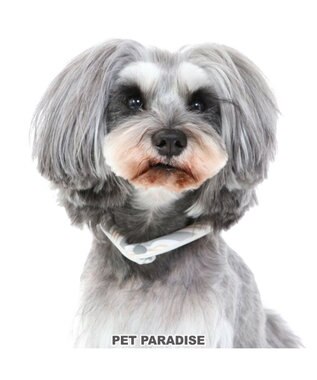 PET PARADISE クールリング 犬 クールネック ひんやり 28℃クールリング 【Ｓ】 リフレクター 水色 ベージュ  反射材付き ベージュ Ｓ