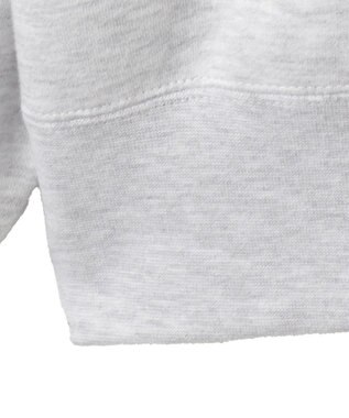 WEGO 【ユニセックス着用ITEM/MLサイズ展開/裏起毛】別注BENDAVISプランプロゴプルオーバー アッシュグレー