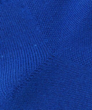 PW CIRCULUS 【虫よけ加工】【MEN】ラインソックス ショート丈  ゴルフ スカイブルー系