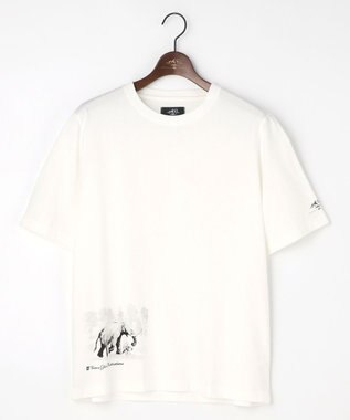 JOSEPH ABBOUD MOUNTAIN 【テーム・ヤルヴィコラボレーション/ゆったり】　　プレーティング天竺ヤルヴィー Tシャツ ゾウ