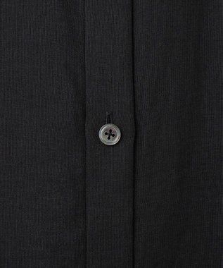 自由区 【カタログ掲載・WEB限定・接触冷感・洗える】シアーラミーローンシャツ ワンピース セピア