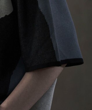 WEGO ジャガードニットT（SS） 柄1