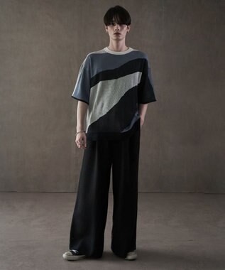 WEGO ジャガードニットT（SS） 柄1