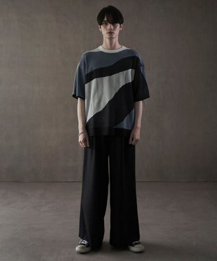 WEGO ジャガードニットT（SS） 柄1