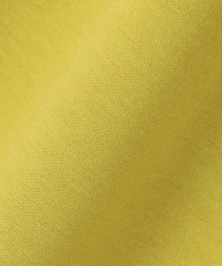 J.PRESS LADIES L 【WEB限定カラーあり・洗える】ダンボール ナロー スカート ピスタチオ系