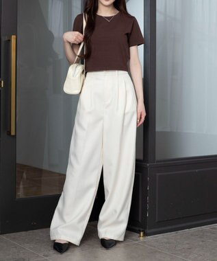 WEGO 【7色/SMLサイズ展開】コンパクトフィットT ブラウン