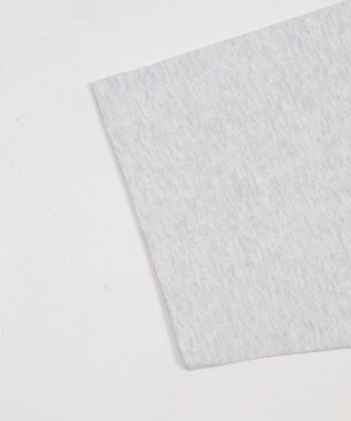 WEGO 【SMLサイズ展開】別注BENDAVISグラフィックT（SS） アッシュグレー