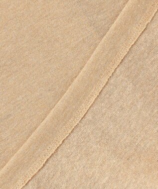 自由区 【カタログ掲載】ラメトリコットジャージー カットソー ベージュ