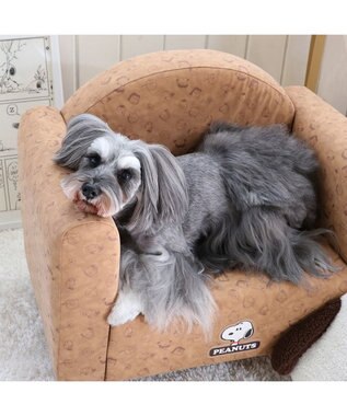 PET PARADISE スヌーピー ソファ 顔クッション付き 小型犬 ベージュ