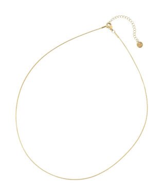 Green Parks ｅｖｅｒｙｗａｌｋ．ステンレス２本セットチェーンネックレス Gold