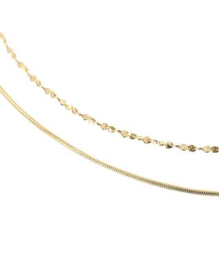Green Parks ｅｖｅｒｙｗａｌｋ．ステンレス２本セットチェーンネックレス Gold