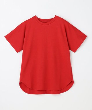 ANY プレミアムコットンベーシックＴシャツ レッド（一部店舗限定色）