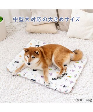 PET PARADISE リサとガスパール もちっと クールマット ホワイト