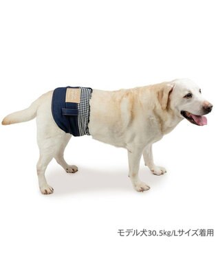 PET PARADISE ペットパラダイス デニム風 マナーベルト 中型犬 ネイビー