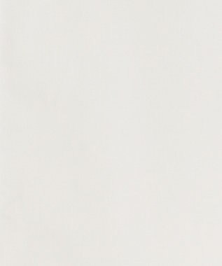 J.PRESS YORK STREET 【WOMEN】ワンウォッシュタイプライターブラウス ホワイト系