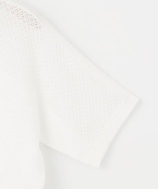 組曲 【WEB限定】メッシュ切り替えドルマン ニット アイボリー系