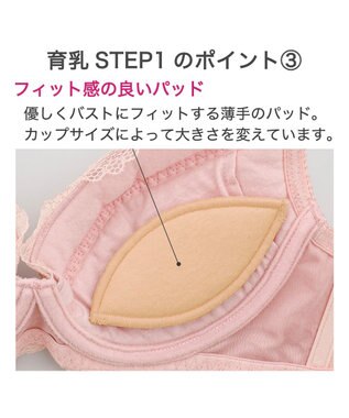 BRADELIS New York 【BRADELIS New York / 育乳補整ブラ・STEP1 集める】ウェンディステップ1ブラ24A1 ヌーディピンク