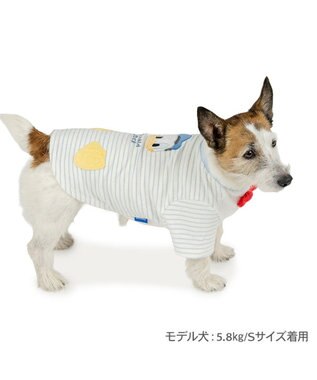 PET PARADISE ディズニー ドナルドダック サーモキープ お顔Tシャツ 小型犬 ホワイト×ブルー