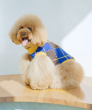 COQ VINTAGE SWEATER アーガイルドッグウェア ブルー