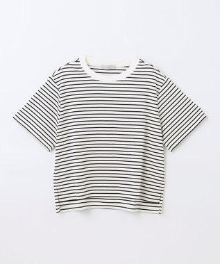 ANY 【接触冷感】クロップド丈半袖Tシャツ ボーダー