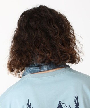 Columbia Columbia/ バックアイスプリングスネックゲイター /コロンビア Everblue Timberwolf