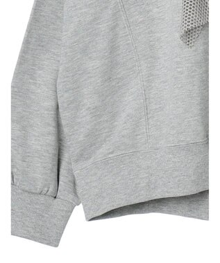 Green Parks ・ＳＵＧＡＲ　ＳＰＯＯＮ　タイガーｐｔラッフルスウェット Gray Mixture