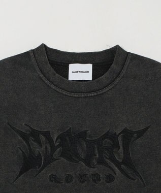 WEGO 【ユニセックス着用ITEM】コンパクトフィットロゴプルオーバー ブラックその他