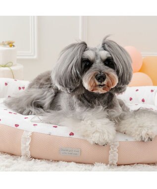 PET PARADISE ペットパラダイス いちご フリルカドラー  Ｌ 57×45cm ピンク