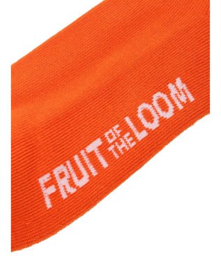 Green Parks ■ＦＲＵＩＴ　ＯＦ　ＴＨＥ　ＬＯＯＭ　刺繍３ＰソックスＡ Mix