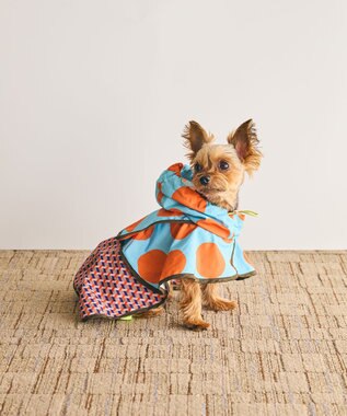 COQ DOTS CROSS ドッグポンチョ レインコート スカイブルー