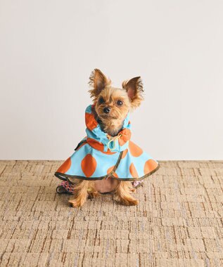 COQ DOTS CROSS ドッグポンチョ レインコート スカイブルー