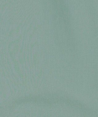 J.PRESS YORK STREET 【WOMEN】ワンウォッシュタイプライターブラウス グリーン系