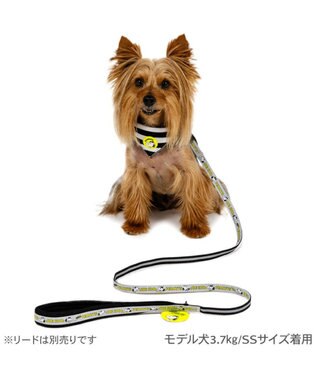 PET PARADISE スヌーピー ＪOE COOL 反射首輪 リーバーシブル仕様 Ｓ ホワイト×グレー